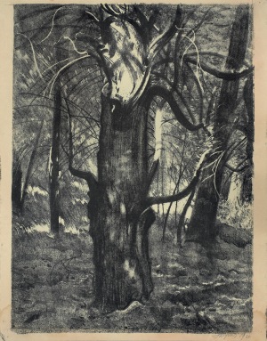 Wyczółkowski Leon, CIS (TUCHOLA), 1931