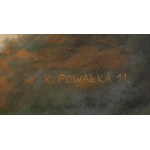 Krzysztof Powałka (ur. 1985, Będzin), Dlaczego wybrałeś mnie, 2011