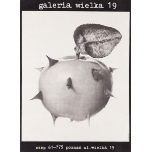 Galeria Wielka 19 - proj. M. MAŃKOWSKI