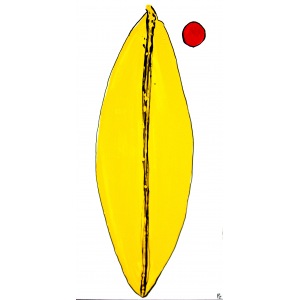 Paweł Zakrzewski, Yello Vagina, 2011