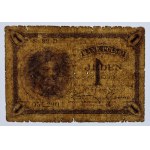 1 złoty 1919 - S.82 D