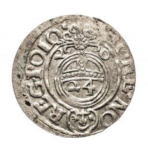 Polska, Zygmunt III Waza (1587-1632), półtorak 1620, Bydgoszcz.