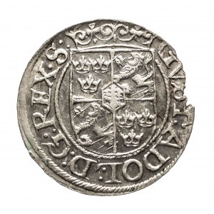Riga - Stadt, Gustav II. Adolf (1621-1632), Halbtagskönig 1624.