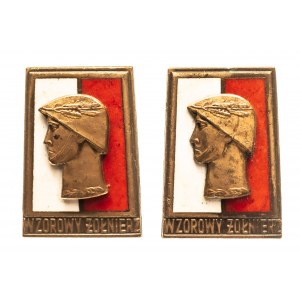 Sada 2 odznakov MODERN SOLDIER bronz, vzor 73.
