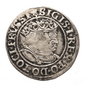 Polen, Sigismund I. der Alte (1506-1548), Pfennig 1533, Toruń.