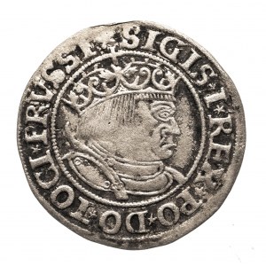 Poľsko, Žigmund I. Starý (1506-1548), penny 1533, Toruń.