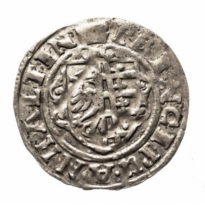 Nemecko, Anhaltské vojvodstvo, Kristian I. August, Rudolf, Ľudovít a Ján Kazimír (1618-1621), dvojitá vlajka 1620