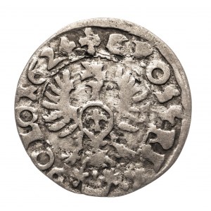 Poľsko, Žigmund III Vaza (1587-1632), penny 1624, Bydgoszcz.