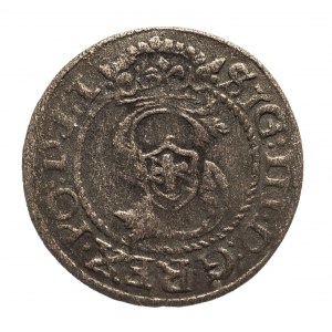Polska, Zygmunt III Waza (1587-1632), szeląg 1594, Ryga