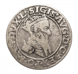 Poľsko, Žigmund II August (1545-1572), štvoruholník 1567, 