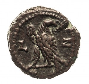 Rzym prowincjonalny, Egipt - Aleksandria - Probus (276-282), tetradrachma bilonowa (281-282)