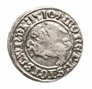 Polsko, Zikmund I. Starý (1506-1548), litevský půlgroš 1510, Vilnius