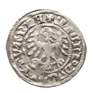 Polonia, Alessandro Jagellon (1501-1506), mezzo penny lituano senza data, Vilnius