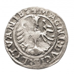 Poland, Sigismund I the Old (1506-1548), Lithuanian half-penny 1522, Vilnius