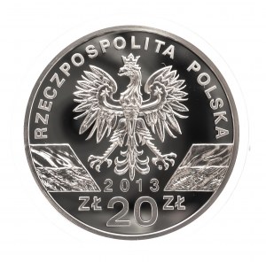 Polska, Rzeczpospolita od 1989 roku, 20 złotych 2013, Żubr