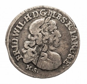 Prusse ducale, Frédéric-Guillaume (1640-1688), six pence 1682 H.S., Königsberg
