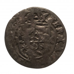 Polska, Zygmunt III Waza (1587-1632), ternar 1627, Poznań