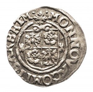 Germania, Sassonia-Anhalt, Contea di Barba, Wolfgang II (1564-1615), centesimo 1613 HM