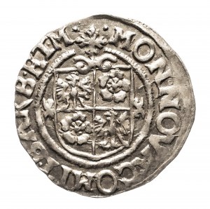 Německo, Sasko-Anhaltsko, hrabství Barba, Wolfgang II (1564-1615), penny 1613 HM