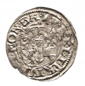 Herzogliches Preußen, Jan Sigismund (1608-1618), Preußischer Pfennig 1613, Drezdenko