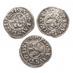Pomorze, Bogusław XIV (1620-1637), zestaw szelągów podwójnych 1622, Szczecin - 3 sztuki