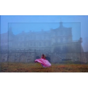 Dmitry Savchenko (ur.1970), Cobweb morning in Pidhirtsi castle