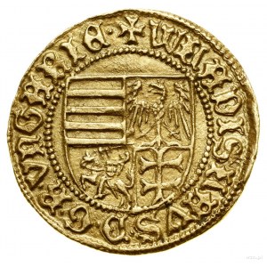Goldgulden, ohne Datum (1443-1444), Baia Mare (Nagybánya)....
