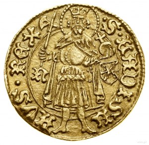 Goldgulden, bez daty (1443-1444), Baia Mare (Nagybánya)...