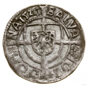 Pfennig, 1524; Av: Im Hintergrund eines langen Kreuzes ein Schild mit dem Adler ...