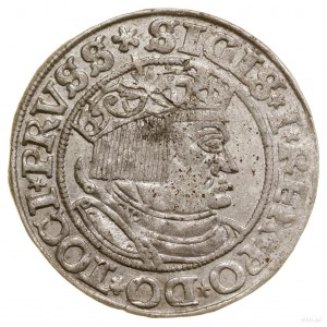 Penny, 1532, Torun; legend stubs PRVSS / PRVSS; White...