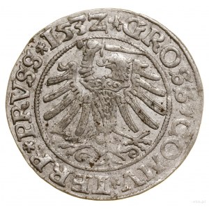 Grosz, 1532, Toruń; końcówki legend PRVSS / PRVSS; Biał...
