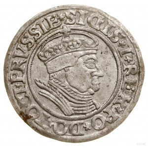 Penny, 1535, Torun; Endungen der Legenden PRVSSIE / PRVSSIE; ...