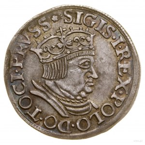 Trojak, 1536, Gdańsk; popiersie króla z wąską głową, w ...