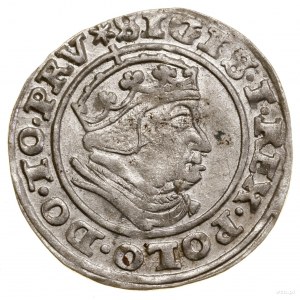 Penny, 1540, Gdansk; in the obverse legend TO PRV; Białk.-...