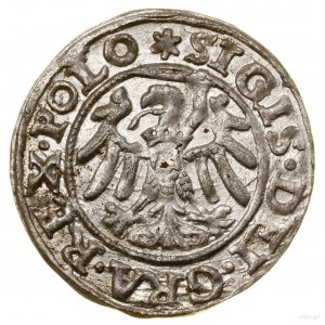 Sheląg, 1546, Gdansk; in the obverse legend POLO; Białk.-S....