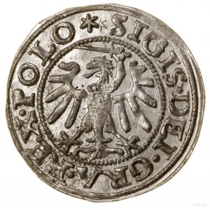Szeląg, 1547, Gdańsk; auf der Vorderseite die Legende POLO; Białk.-S....