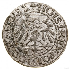 Penny, 1540, Elblag; in the obverse legend PRVSS; Bialk.-S....