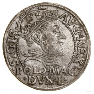 Polish penny per foot, 1546, Vilnius; endings of legends L /...