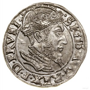 Penny, 1556, Gdansk; large king's head with beard divided....