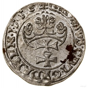 Penny, 1556, Gdansk; large king's head with beard divided....