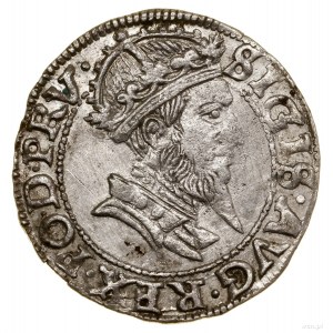 Pfennig, 1556, Danzig; eine Sorte mit einem kleinen Königskopf, mit einer...