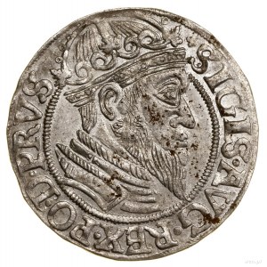 Grosz, 1557, Gdansk; a wide bust of the ruler with a combed...