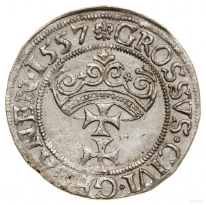 Grosz, 1557, Gdańsk; duża głowa króla z pojedynczą brod...