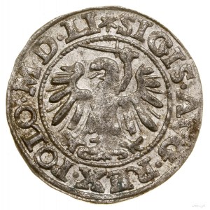 Sheląg, 1549, Danzig; in der Legende auf der Rückseite GEDANEN; Weiß...