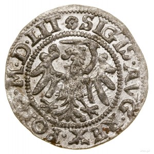 Sheląg, 1551, Gdansk; in the obverse legend M D LIT; White...