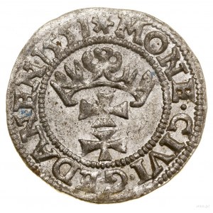 Sheląg, 1551, Gdansk; in the obverse legend M D LIT; White...