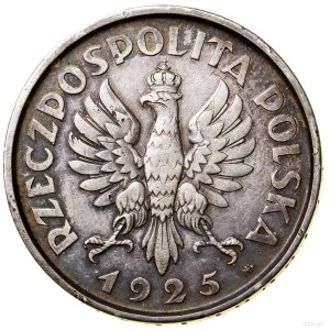 5 zloty, 1925, Warsaw; Constitution - a variation of the stup...