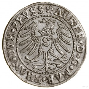 Penny, 1531, Königsberg; tip of inscription PRVSS; Cop. 377...