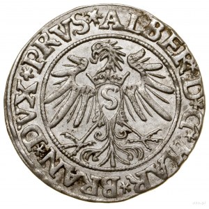 Grosz, 1535, Królewiec; końcówka legendy rewersu PRVS; ...