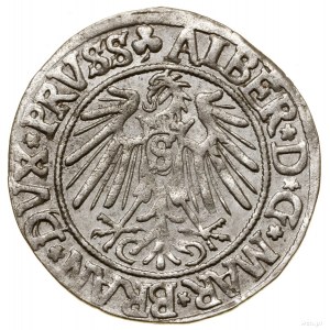 Penny, 1541, Königsberg; a variety with a long prince's beard, ...